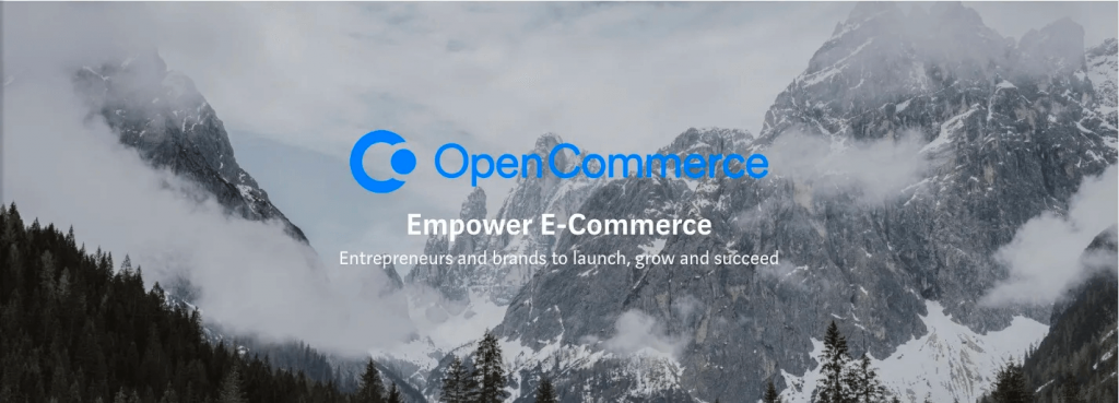 OpenCommerce Group & A Journey Through Vulnerability Remediation