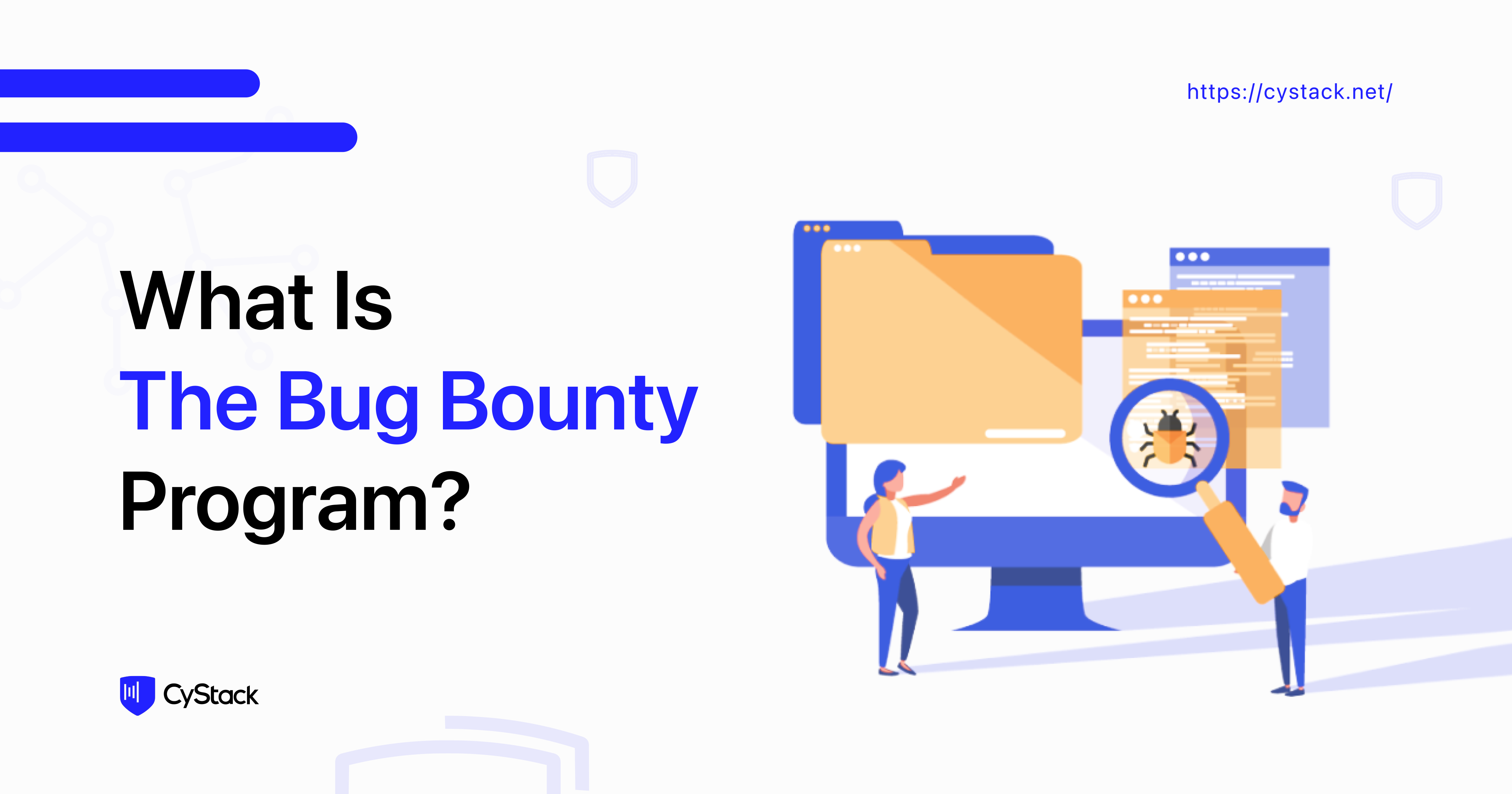 what-is-the-bug-bounty-program