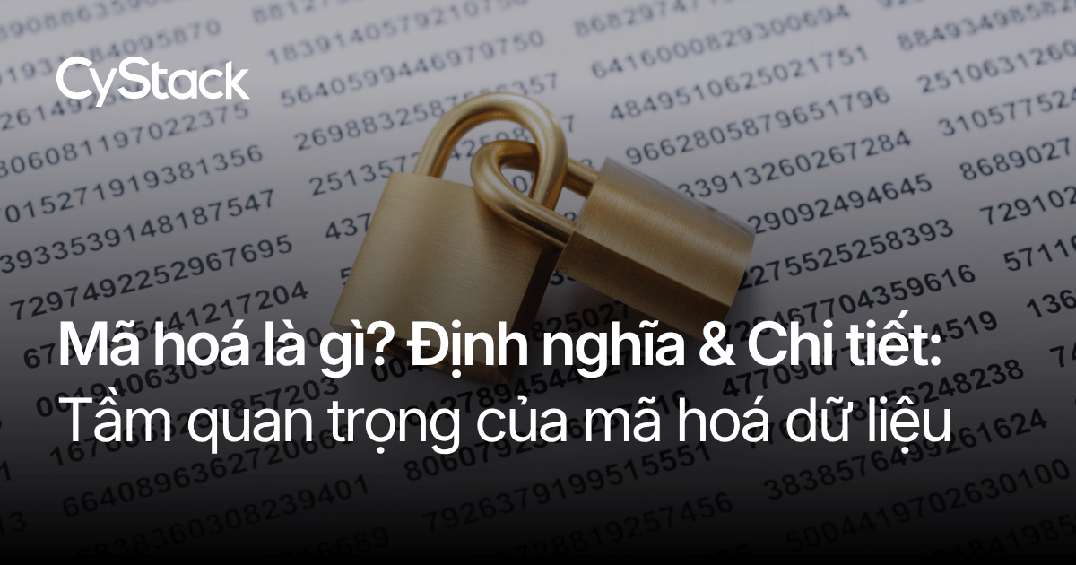 Mã hoá là gì? Tầm quan trọng của mã hóa dữ liệu - CyStack Blog