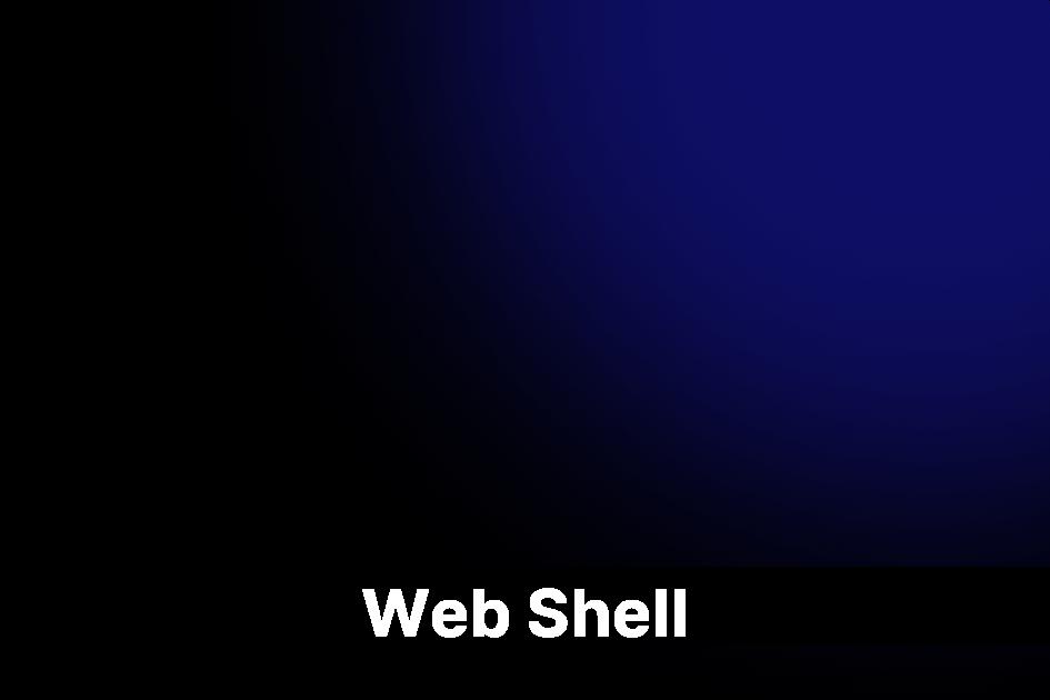 Web Shell